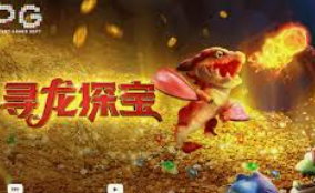 ayx大厅手机版登录入口电脑免费版